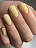 Shellac Jelied לק ג'ל היפואלרגני בצבע צהוב פסטלי אטום