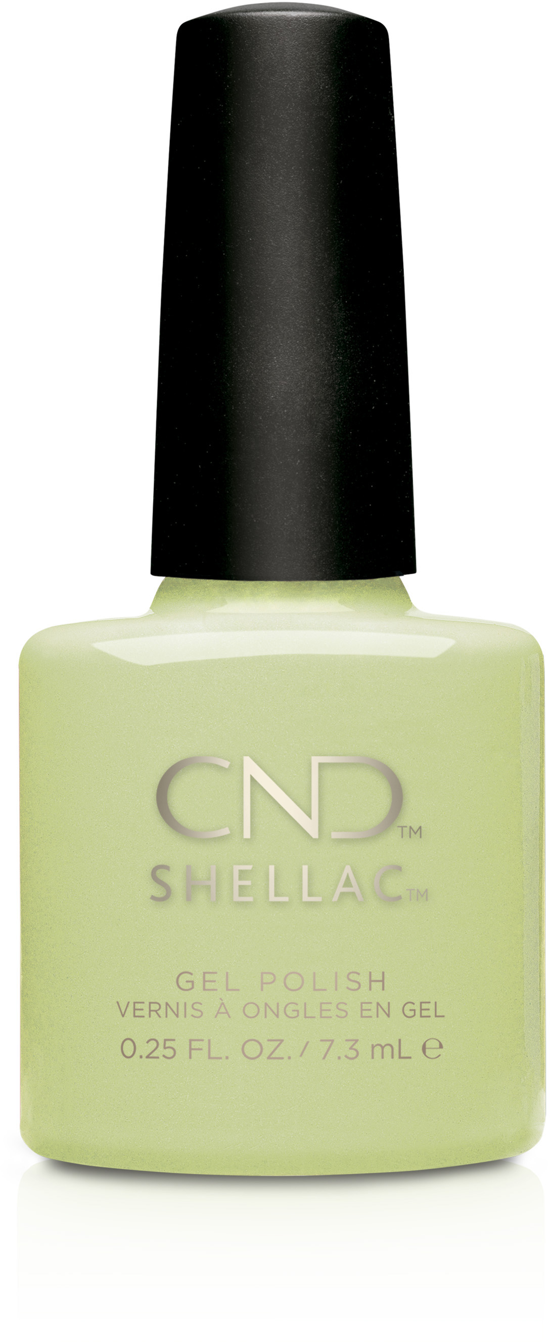 �� �'� ���� ���� ���� ��� ����- �������� ������- Shellac Sugar Cane