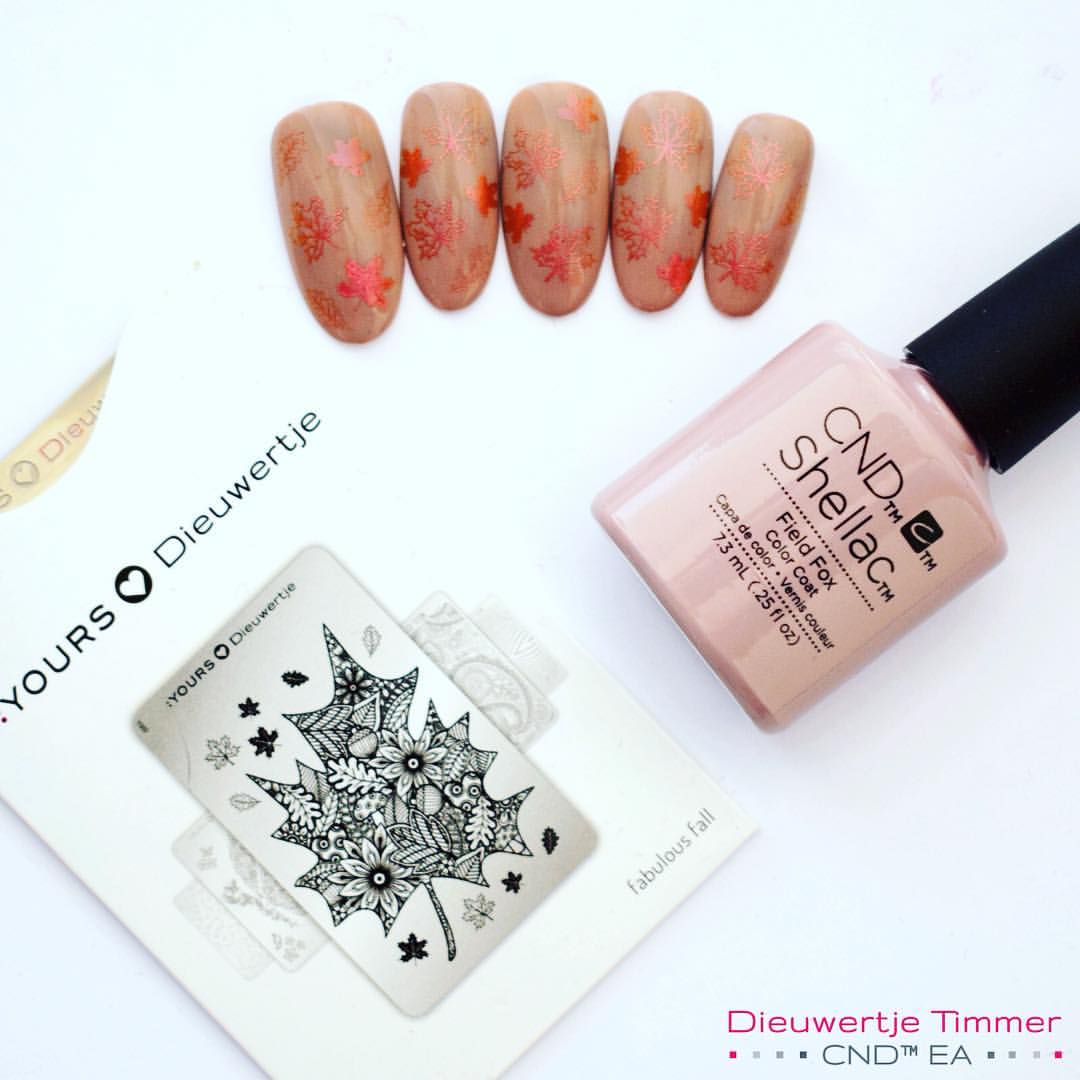 Fabulous Fall - ���� ������ ����� ����� ������ ��������