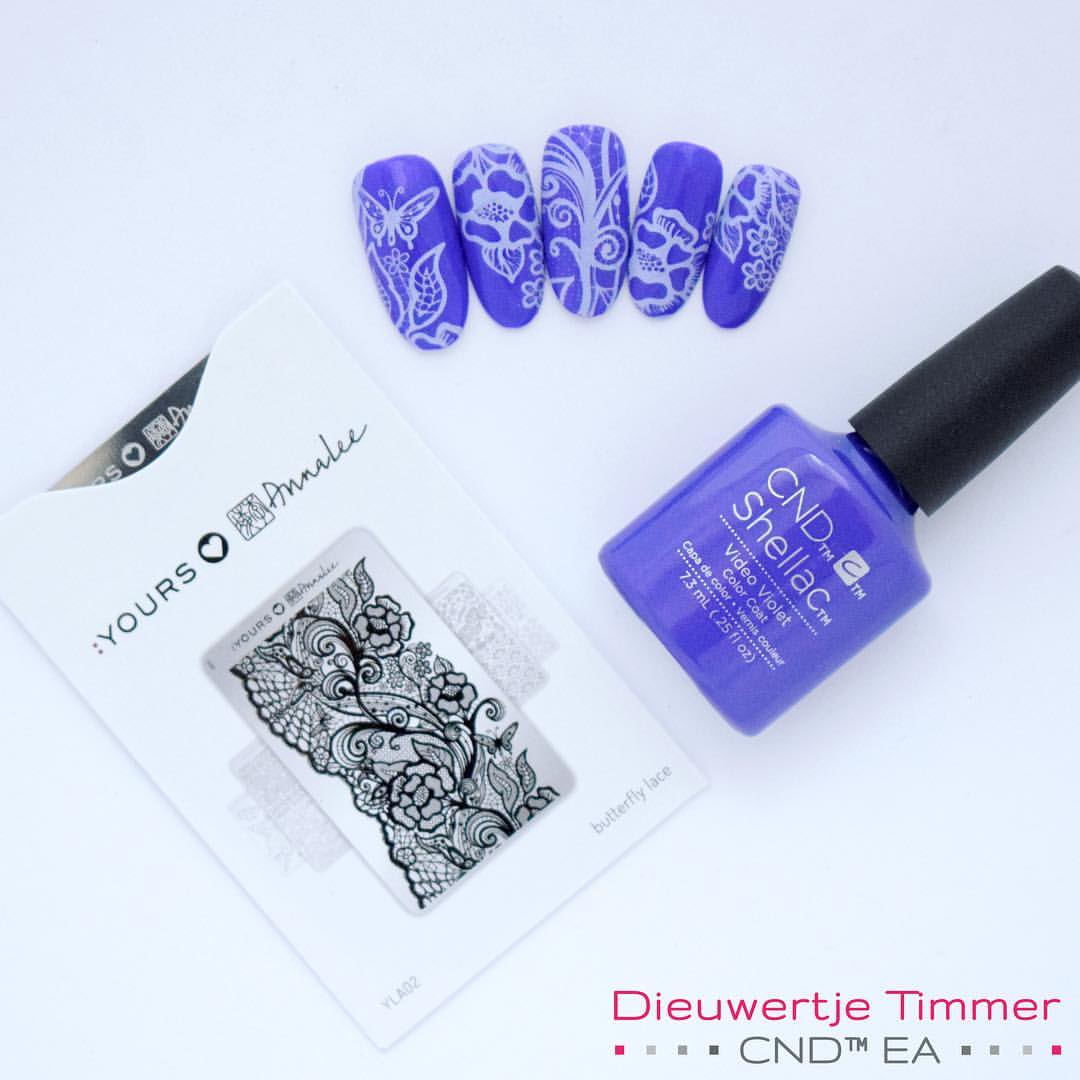 butterfly lace - ���� ������ ������� ����� ����� ����� ����� ������ ����������