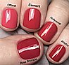  Shellac Element �� �'� ���������� ���� ���� �� ����