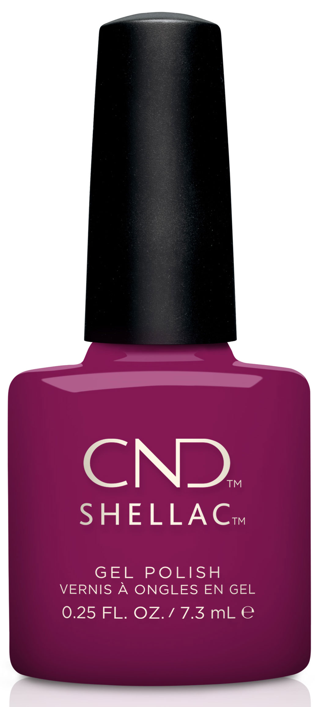 �� �'� ���� ���� ����� Shellac Wild Earth Dream Catcher