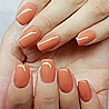 �� �'� ���� ���� ����� ��� Shellac Wild Earth Spear