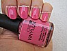 �� ���� ���� ���� ����� - ���� - Vinylux Gotcha