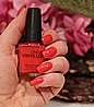 לק שבועי לציפורניים בצבע אדום קורל - אטום - Vinylux Lobster Roll