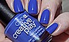 �� �'� 506 C.P Gel Party Royalty ���� ���� ����� ����