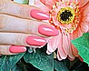 �� �'� ���������� ���� ���� ����� ������ ��� -472-  CP Gel Read My Tulips