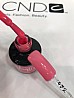 �� �'� ���������� ���� ���� ����� ������ ��� -472-  CP Gel Read My Tulips