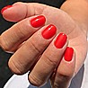 �� �'� ���������� ���� ���� ����� ���� -499- CP Gel Tangerine Rush
