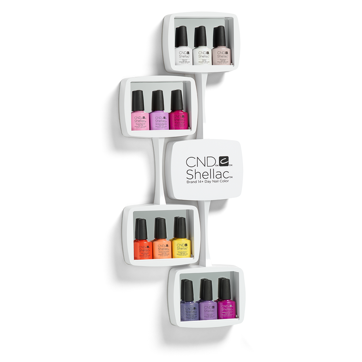 ����� 4 ���� ����� ���� ����-12 ������ Shellac