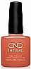 �� �`� ���� ���������� ������ ���� �������� ������ Shellac Soulmate
