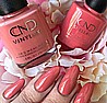 �� �`� ���� ���������� ������ ���� �������� ������ Shellac Soulmate
