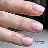 Shellac Bouquet לק גל היפואלרגני בצבע ורוד בייבי בהיר חצי שקוף