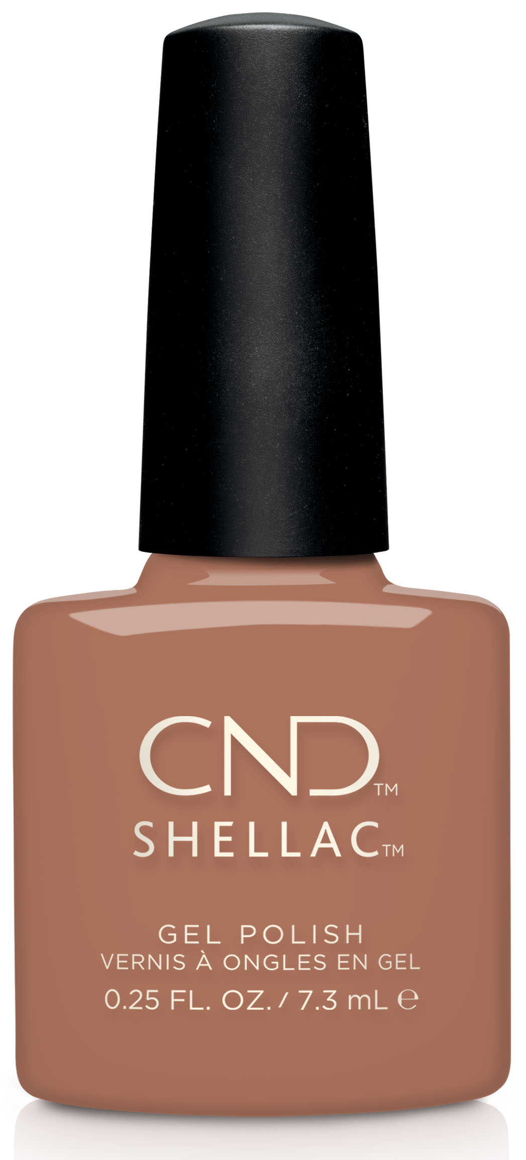 �� �� ���������� ��� ����� ������ ��� Shellac Boheme