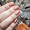  Shellac Flowerbed Folly �� �'� ���������� ���� ��� ����� ����