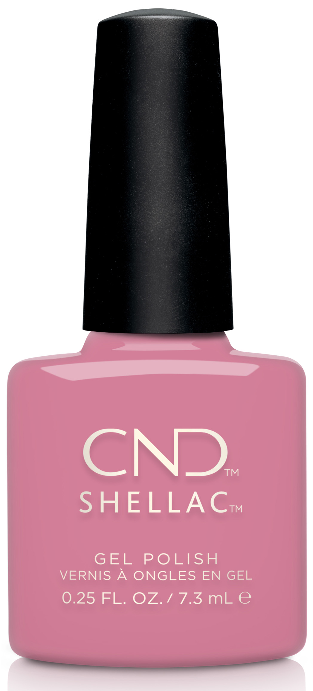 Shellac Kiss from A Rose �� �'� ���������� ���� ���� ����� ���� ����