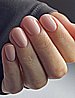 Shellac Uncovered �� �'� ���������� ���� ���� ���� ����� ����