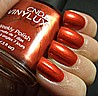 VLX Fine Vermilion-�� ���� ���� ������ ����