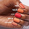 ��  �'� ���������� ���� ����� �� ������ ��� Shellac Catch of the Day
