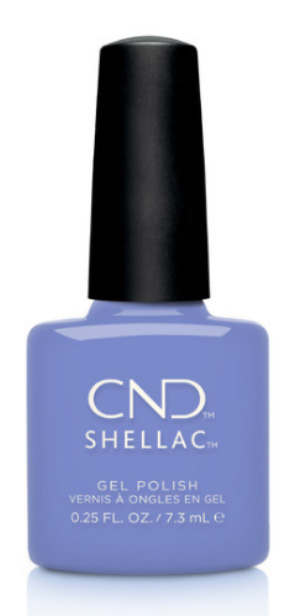 Shellac Down By The Bae �� �'� ���������� ���� ���� ����� ����