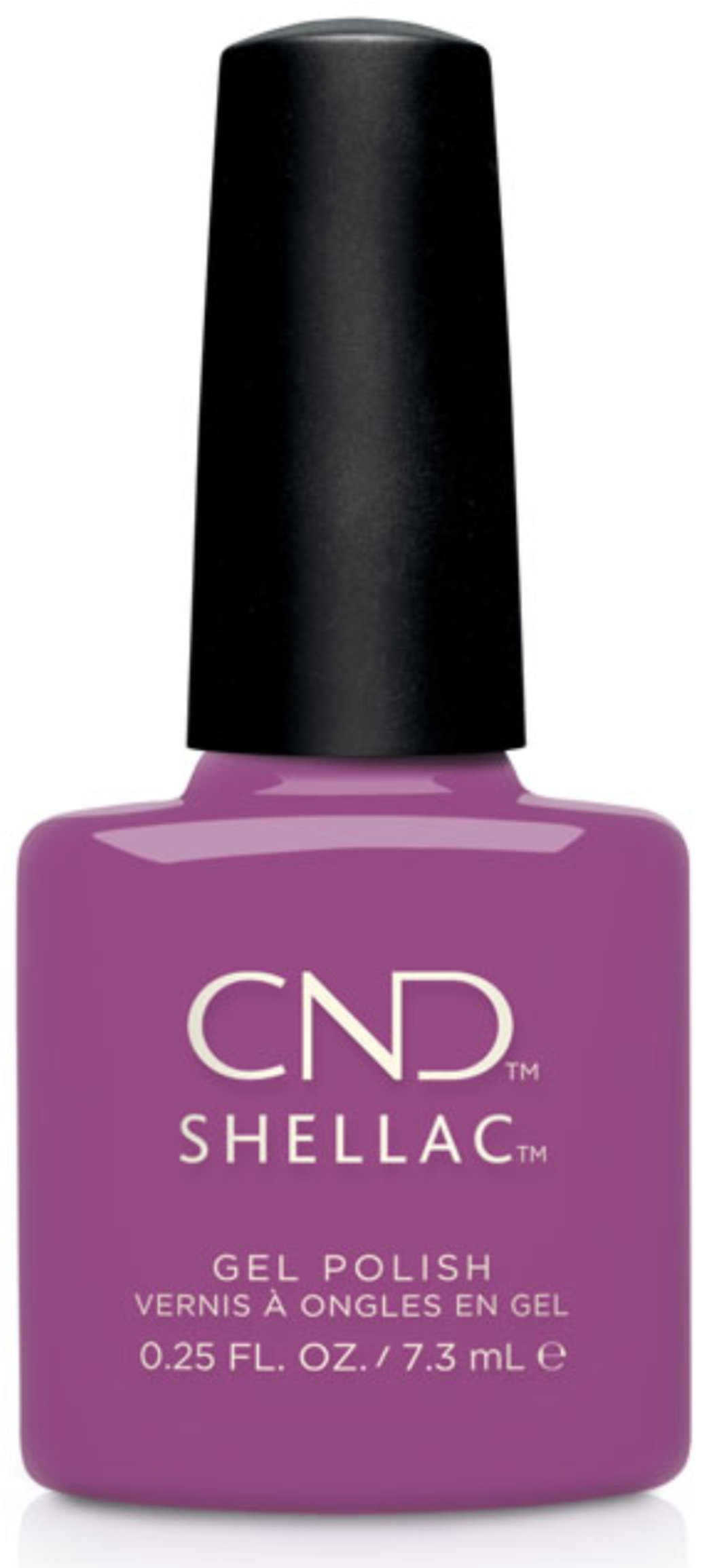  Shellac Psychedelic �� �'� ���������� ���� ���� ����� ����