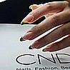 CND Plexigel Bonder | פלקסיג'ל בונדר בסיס