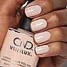���� ��� ��� ����� �� ���� ��� ���� ����� ����� ����� CND Vinylux DIY KIT