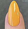 Shellac Among The Marigolds לק ג'ל היפואלרגני בצבע כתום צהוב מנגו אטום