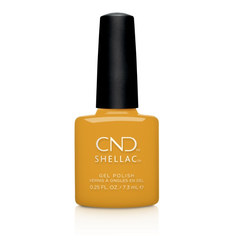 Shellac Among The Marigolds �� �'� ���� ���� ���� ����