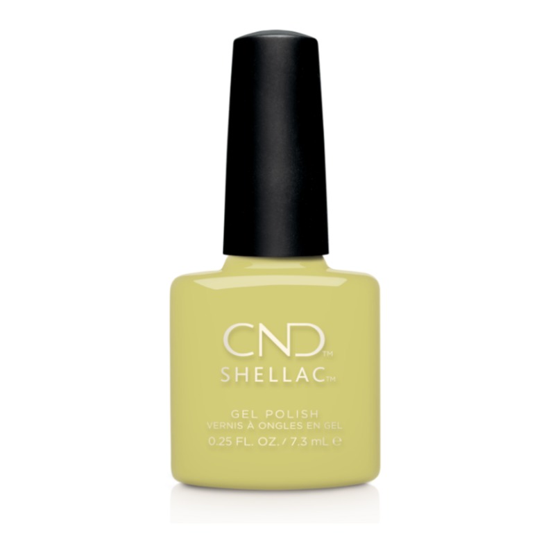 Shellac Mind Over Matcha לק ג'ל בצבע ירוק צהבהב Shellac Mind Over Matcha לק ג'ל בצבע ירוק צהבהב