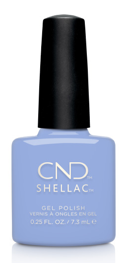 CND Chance Taker �� �'� ���������� ���� �� �����