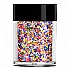 צ'אנקים צבעוניים לקישוט הציפורניים Dragonfly Chunky Glitter