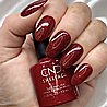 Shellac Ruby Ritz �� �'� ���������� ���� ���� ����� ����
