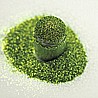 נצנצים לקישוט הציפורניים בירוק בהיר Lime Green Ultra Fine Glitter