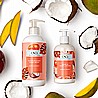 סבון נוזלי על בסיס שמנים בניחוח מנגו קוקוס CND Mango & Coconut Handwash