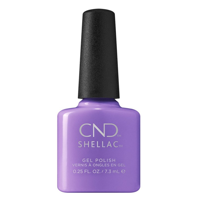 Shellac Artisan Bazaar �� �'� ���������� ���� ���� ���� ����� ����