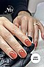 Shellac Terracotta Dreams �� �'� ���������� ���� ���� ����� ����