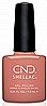 Shellac Terracota Dreams �� �'� ���������� ���� ����� ��� ���� ����