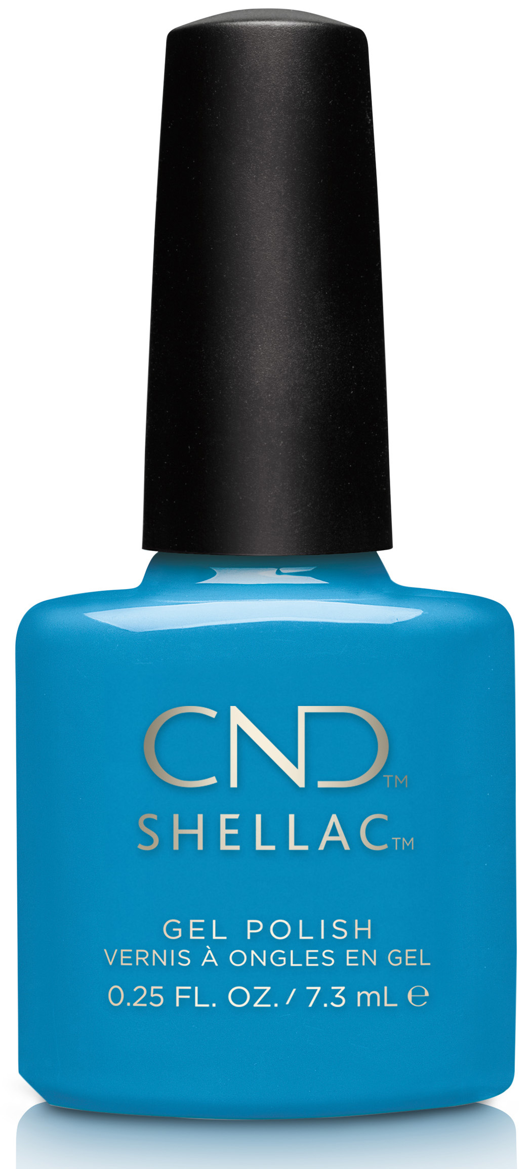 Shellac Boats & Bikinis �� �'� ���������� ���� ���� �� ����