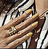 Shellac Limoncello �� �'� ���������� ���� ���� �� ����