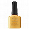Shellac Limoncello �� �'� ���������� ���� ���� �� ����