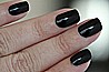 �� ���� ���� ���� ��� - ���� - Vinylux Black Pool