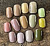 Shellac Gilded Sage �� �'� ���������� ���� ���� ���� ��� ����