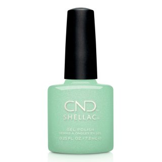 Shellac Mint & Meditation �� �'� ���������� ���� ���� ���� �����