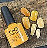 Shellac Sandial it Up �� �'� ���������� ���� ���� �� ���� ���� ����