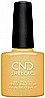 Shellac Sandial it Up �� �'� ���������� ���� ���� �� ���� ���� ����