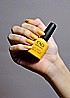 Shellac Sandial it Up �� �'� ���������� ���� ���� �� ���� ���� ����