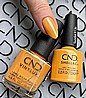 Shellac Sandial it Up �� �'� ���������� ���� ���� �� ���� ���� ����