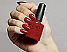 Shellac Scarlet Letter �� �'� ���������� ���� ���� ��� ����