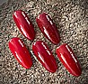 Shellac Scarlet Letter �� �'� ���������� ���� ���� ��� ����